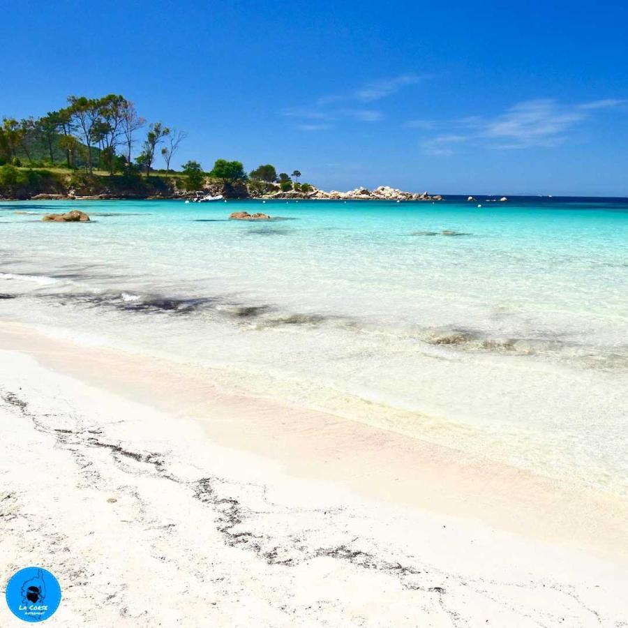Joli Studio Maisonnette A 100M De La Plage Porticcio  Bagian luar foto
